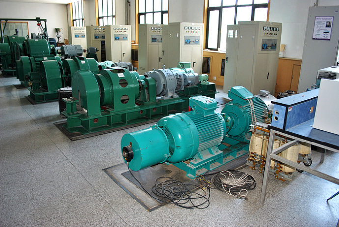 国营红林农场某热电厂使用我厂的YKK高压电机提供动力